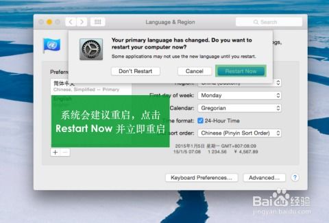 電腦軟件 現(xiàn)代數(shù)字生活的核心引擎